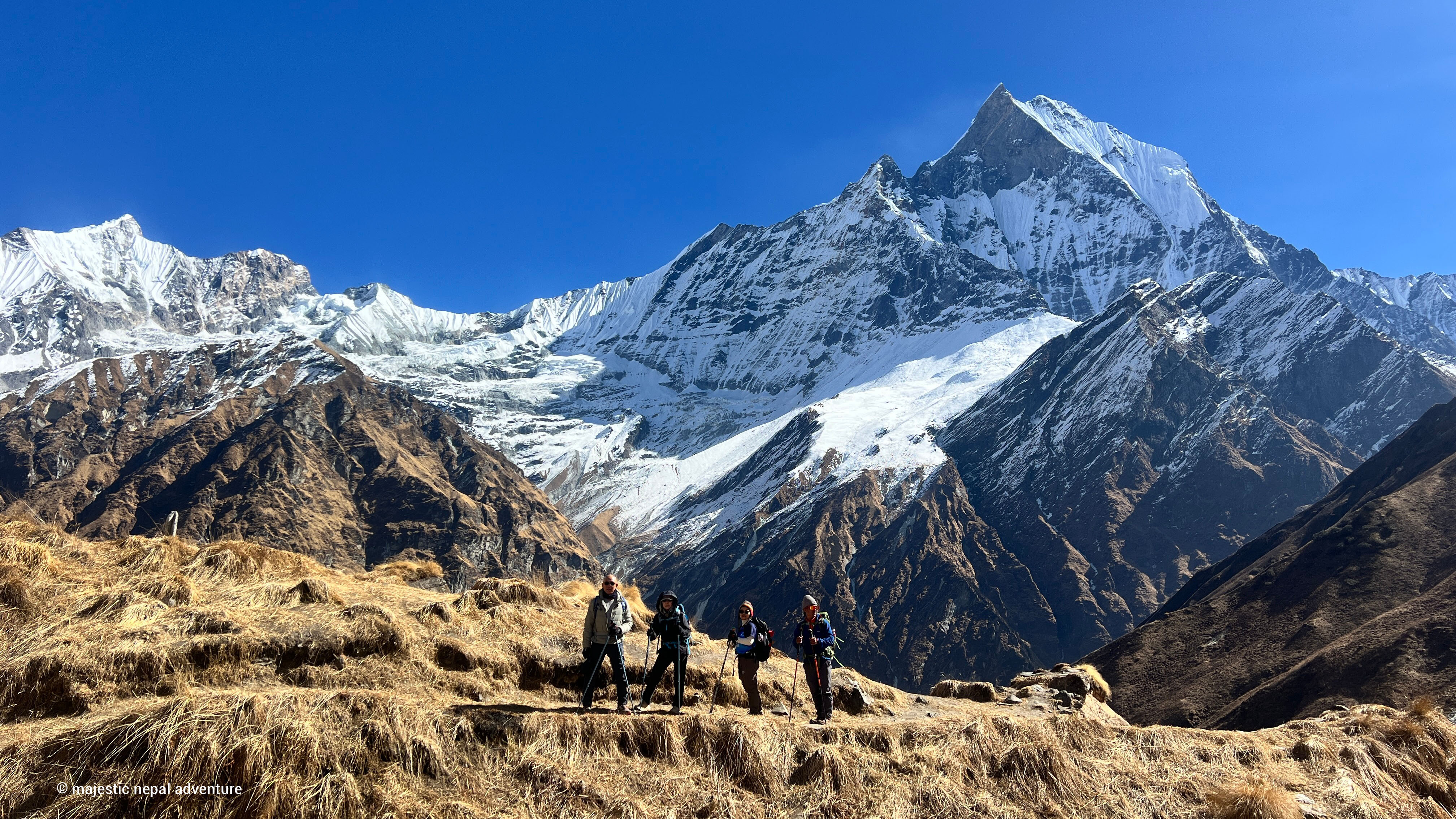 Spring Trekking in Nepal: Why Annapurna Base Camp Trek Is a Top Choice
